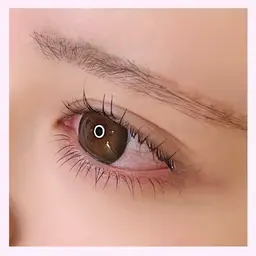 ₊˚限定クーポン⟡.·上下まつげパーマ🪽♡