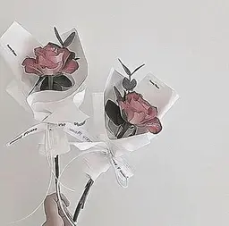 🎀23日限定🎀エクステ100本&ヘルシー