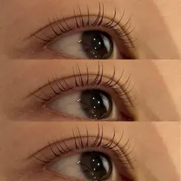 ラッシュリフト 上のみ