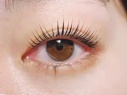 【ミニモ限定価格✨】パリジェンヌラッシュリフト上／コーティング仕上げ6300→5000