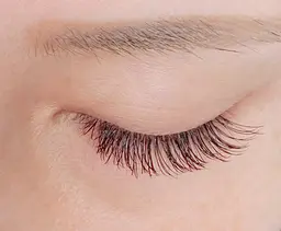 12/26(金)17:00🎀 フラットラッシュ無料モデル 120分 (80本保証)