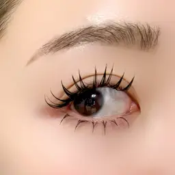 上下フラットラッシュつけ放題🌟⋆꙳