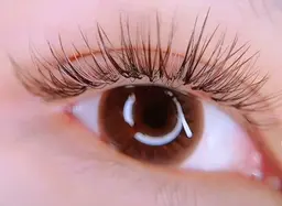 💕ちょい足しにお勧め💕フラットラッシュ🖤30分リペア(約45本前後)LED変更可◎