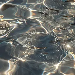 🫧‪𓂃レディースカット𓂃🫧‪