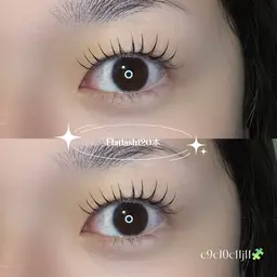 フラットラッシュ120本