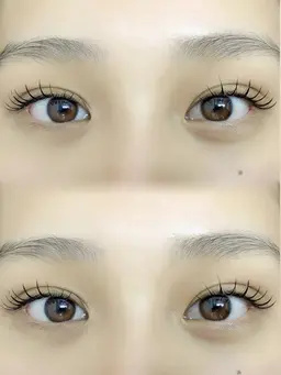 バインドロック80本240束🤎オフあり🐩Jr.stylist🫧