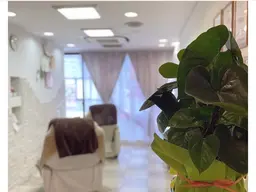 【ソフトジェルのみオフ込み】ワンカラー