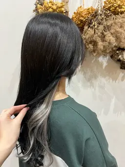 【12月限定🎄】人毛シールエクステでインナーカラー（10本）