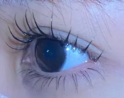 🫧最高級フラットラッシュ100本¥5,700→¥4,200【他店リペア可/オフ可/ミニモ限定特別🕊️】