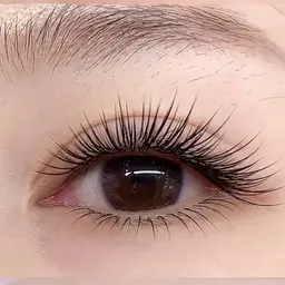 フラットラッシュ上下つけ放題 (オフ+¥500)