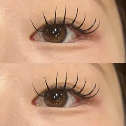 【🩶リピーター 様/リペア限定🩶】バインドロック30束orフラットラッシュ60本/付け足し限定🌟