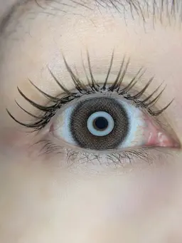 ブラウンフラットラッシュ140本