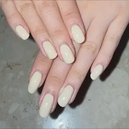 【練習モデル様】ワンカラー(オフ込み)*所要時間:120分*