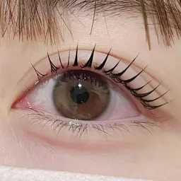 👑ラッシュリフト、まつげパーマ👑🤍コーティング付き🌟