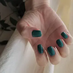 ワンカラー(オフあり)