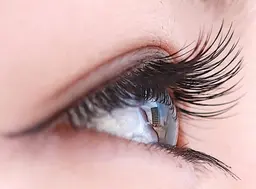 ✨ボリュームラッシュ　120束(約360本) 🌈通常グルーオフ無料