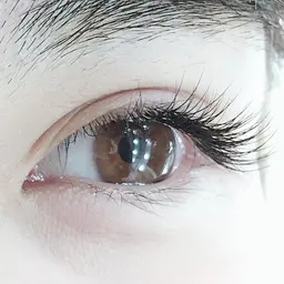 【いつでもこの価格✨】フラットラッシュ120本6800→5800