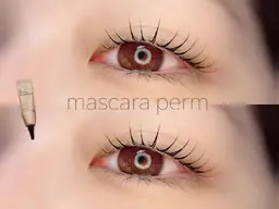 🆕❇マスカラパーマ❇️パリジェンヌor似合わせカール❇ご新規様＋550円❇