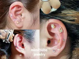 (SNS大人気)✨耳ツボジュエリー💎(15個付き)