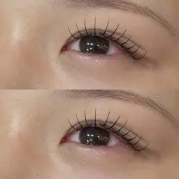 (オフ無料)フラットラッシュ100本❕