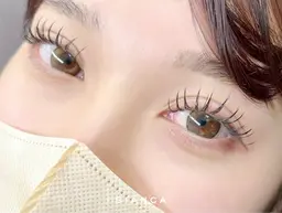 【全員】💜バインドorダブルラッシュ💜上のみ120束  浦和/マツエク/フラットラッシュ