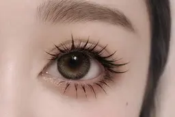 【練習モデル】アイブロウスタイリング&WAX