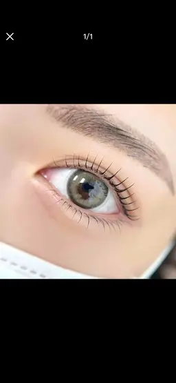 (まつけパーマ)ラッシュリフト上下