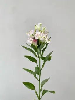 🌟髪質改善トリートメント🌟高濃度水素トリートメント+カット