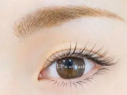 アップワードラッシュ100本(オフ込)     ¥6,600