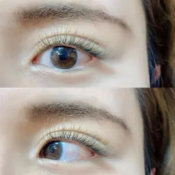 🌼全員【最高品質フラットラッシュカラー】オードリーコレクション付け放題（約160本）