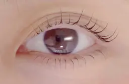 上下パリジェンヌラッシュリフト🌹オフなしコーティング付