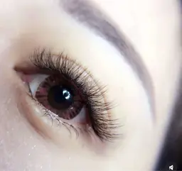 3 D ブラウンボリュームラッシュ180束600本以上（LED 変更980長持ち）