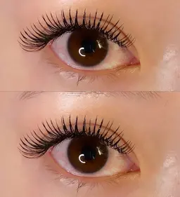 【期間限定メニュー】DKLデザインキープラッシュ60束