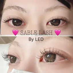 🧡 LEDセーブル 🧡(120本) ⚠️必ず補足説明を御一読下さい⚠️