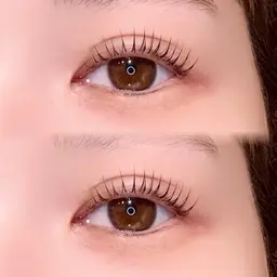 🕊️パリジェンヌラッシュリフト🎟️コーティング付⭐︎新規¥5600／再来¥6100