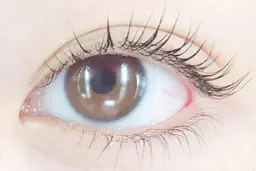 下まつげパーマモデル募集