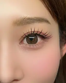 フラットラッシュ120本