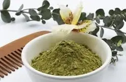 【髪にふわっとハリ・コシを出す白髪染め】植物性ヘナ