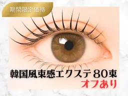 📣 【オフあり🙅‍♀️】 LEDエクステ🪽韓国風束感エクステ80束🪽120分