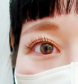 フラットラッシュ オフ込み 120本まで ￥6500  ✱詳細も必ずお読みください!