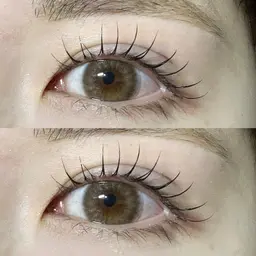 当日予約限定　選べるまつ毛パーマ