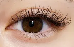 【初めてのボリュームラッシュ】3Dボリュームラッシュ150本（オフ無料）li♡e予約からの限定メニュー🌷