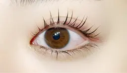 【目元ぱっちり👀💫】似合わせまつげパーマ上下+束間仕上げ付き🫶🏻