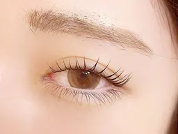 ⭐️12月限定🌈《レッスンモデル募集》上下まつげパーマ 👀