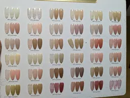 平日限定🔥人気ナチュラルカラー(ワンカラー）豊富なジェルお選び可能