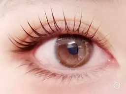 《上下セット》パリジェンヌリフトor似合わせパーマ¥6990【土日祝¥7990】