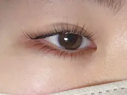 まつ毛パーマ/ラッシュリフト上下