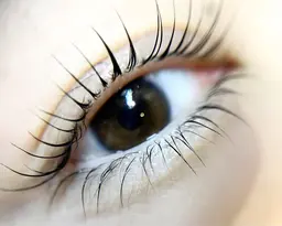 上下!パリジェンヌorまつ毛パーマ