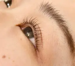 ラッシュリフト