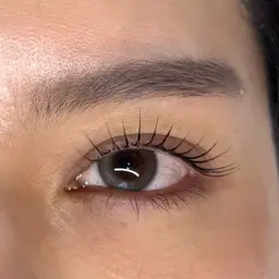 【堺市駅すぐ】初回限定✨ラッシュリフト（まつげパーマ）¥3,900